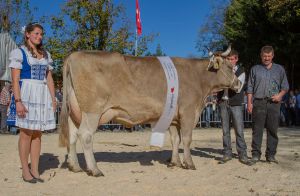 Miss OB Koenig Krokus von Hofstetter Hans-Ruedi Rengg